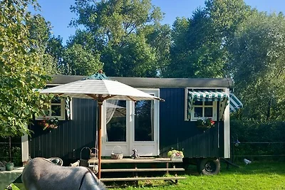 Homebijzee