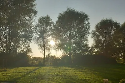 Homebijzee