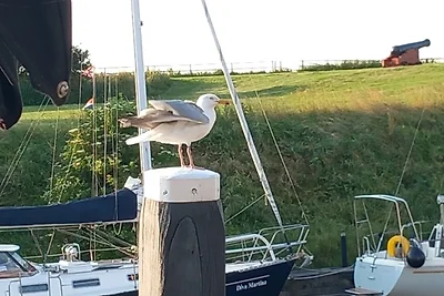 Homebijzee