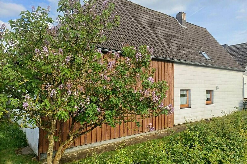 Großer Garten mit Apfelbäumen und gepflegtem Rasen.