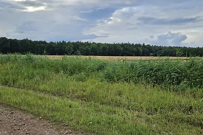 Elbmöve