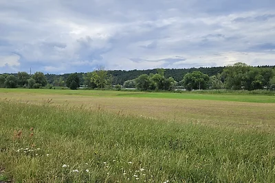 Elbmöve