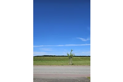 Elbmöve