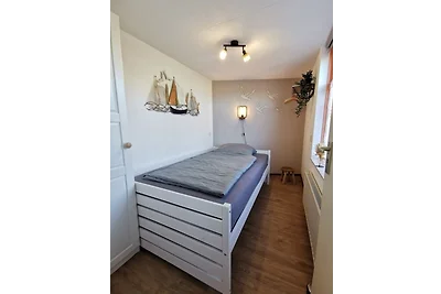 Seestern 253