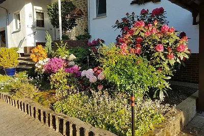 Ferienwohnung Panoramablick