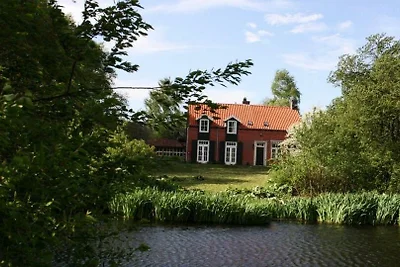 AandegroeneZoom