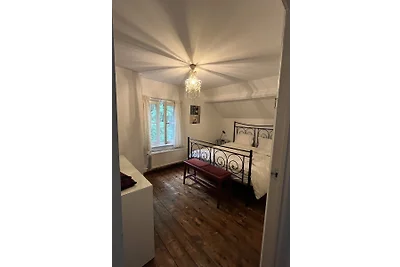 AandegroeneZoom