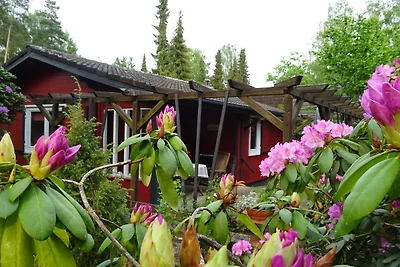 Ferienhaus Im Märchenwald