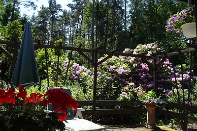 Ferienhaus Im Märchenwald