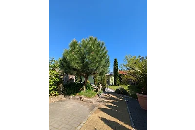 Ferienhaus Königsnase Struppen