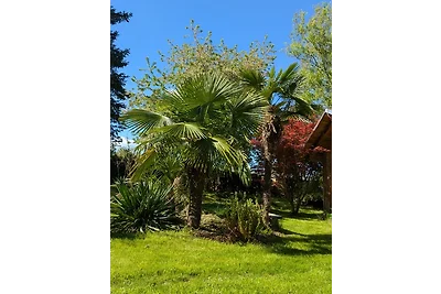 Ferienhaus Königsnase Struppen