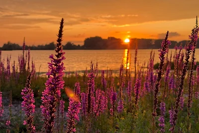 Hausboot Seezauber – Gemütlich & fahrend in der Natur
