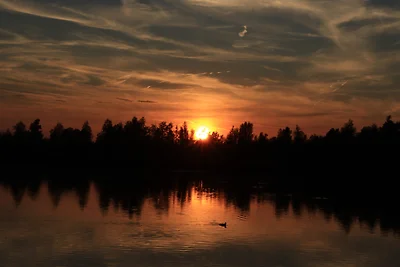 Hausboot Seezauber – Gemütlich & fahrend in der Natur