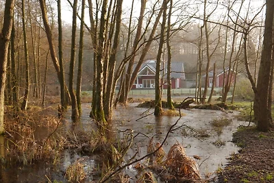 Ferienhaus am Warder