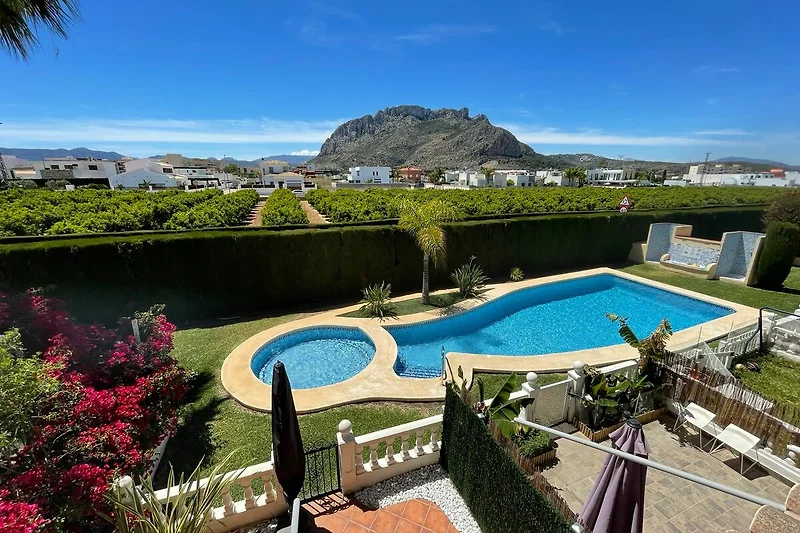 Pool mit Palmen und üppigem Garten.