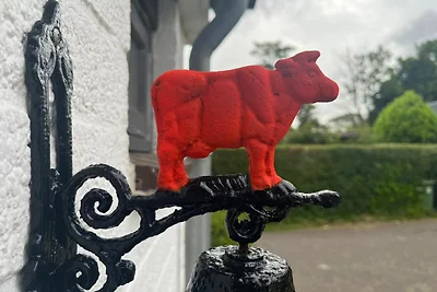 Meeuwenstein