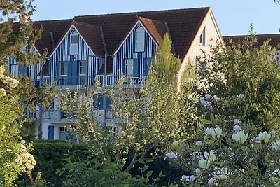 Kranichblick im Haus Boddenblick