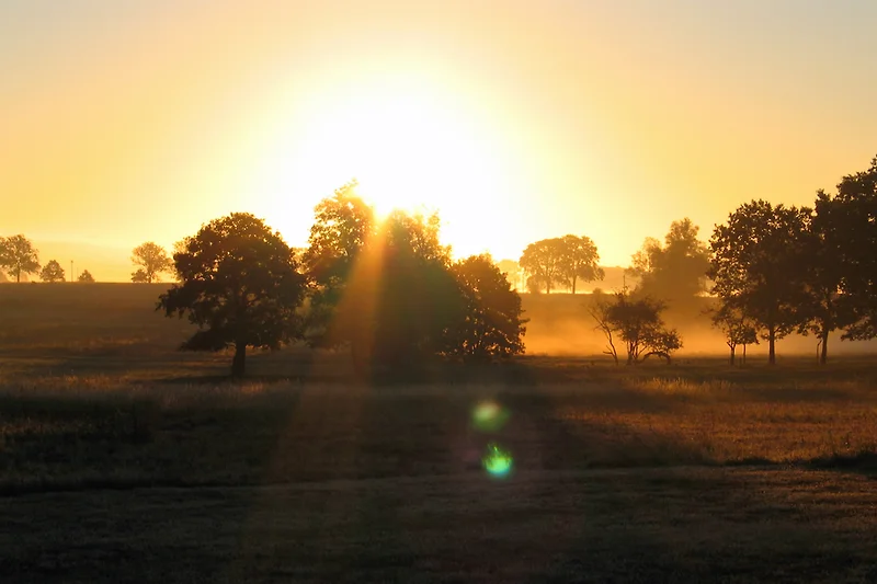 Zonsopgang