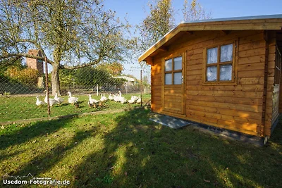 Caravan Wiesenblick 1.