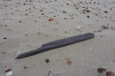 Der Strand in Vrouwenpolder Der Strand in Vrouwenpolder