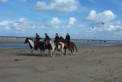 Strandausflug mit Pferden Strandausflug mit Pferden