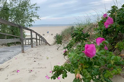 Dünenübergang zum Strand Dünenübergang zum Strand