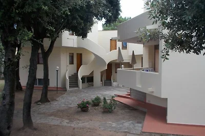 Costa Etruschi, San Vincenzo