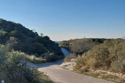 K17