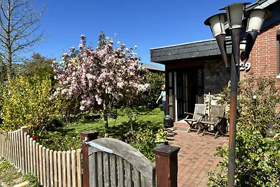 Ostsee Ferienhaus Buchtkieker