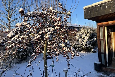 Ostsee Ferienhaus Buchtkieker