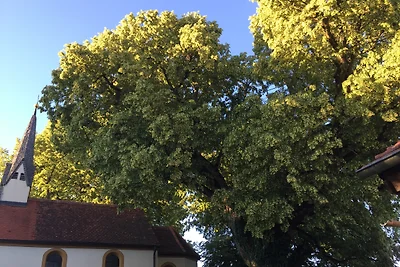 Ferienwohnung St. Willibald