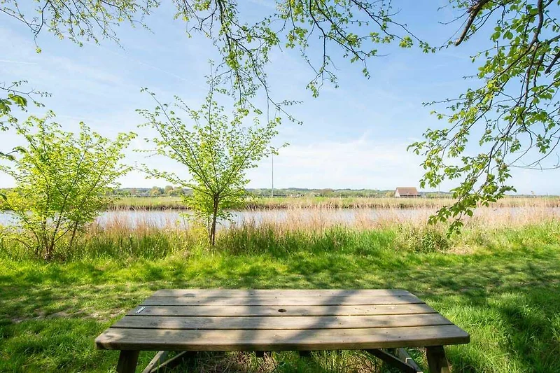 Grüne Wiese mit Picknicktisch und Bänken in natürlicher Umgebung.