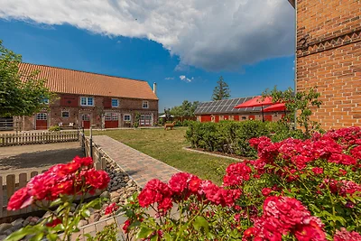 Wohnung Traumzeit Gutshof zum See