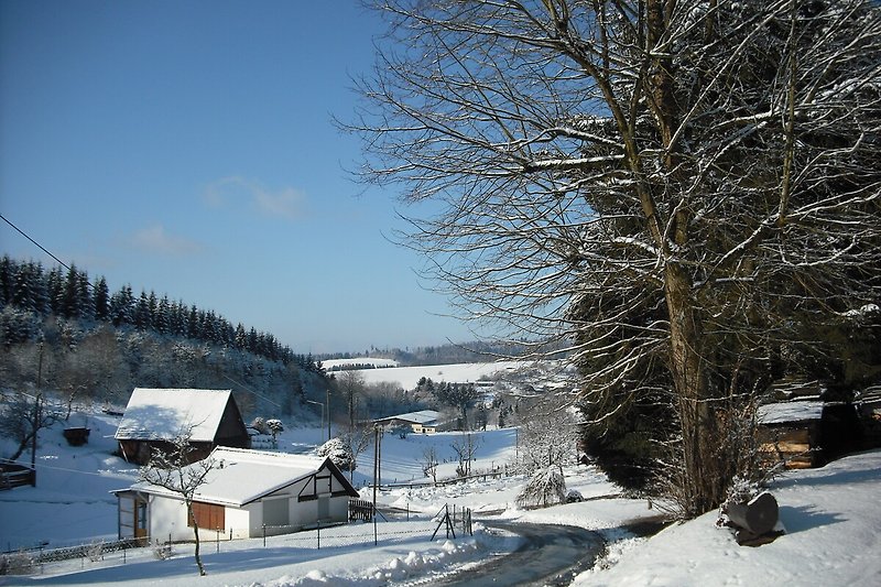 Winterlandschaft mit verschneiten Bergen und frostigen Bäumen.