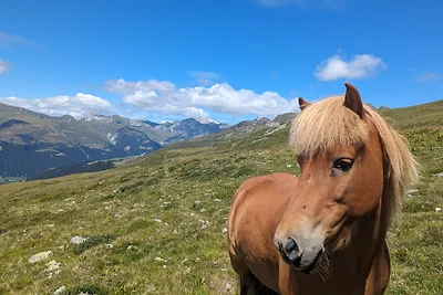Ferienwohnung im Top Skigebiet Davos