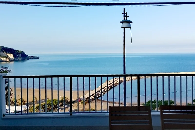 Balkon mit Meerblick, Palmen und tropischer Atmosphäre.