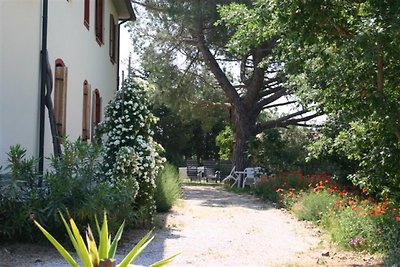 Ferienhaus Poggio al Turco
