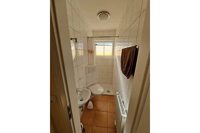 Ferienhaus Seemöwe mit Deichblick