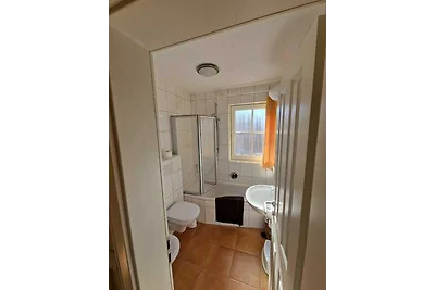 Ferienhaus Seemöwe mit Deichblick