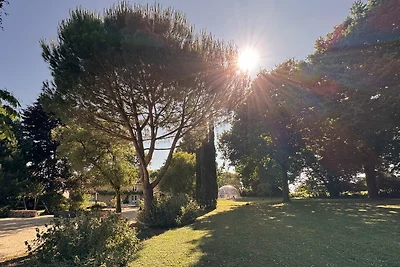 Domaine Lucienne