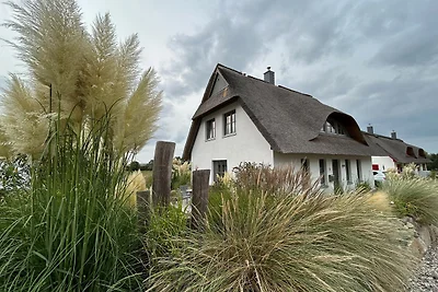 Ostsee Ferienhaus Silbermöwe