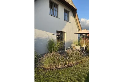 Ostsee Ferienhaus Silbermöwe