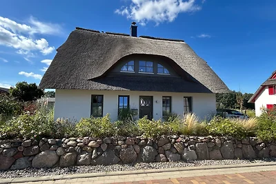 Ostsee Ferienhaus Silbermöwe