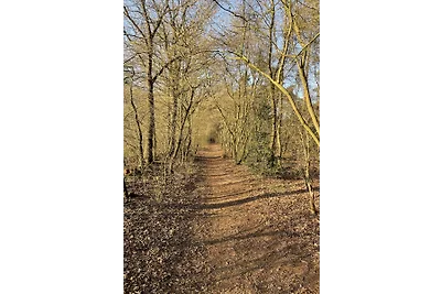 Bosperceeltje Putten
