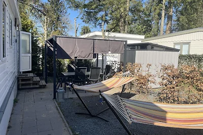Bosperceeltje Putten