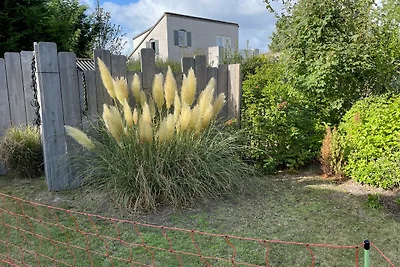 Langsteert