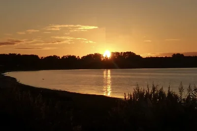 Sonnenschein