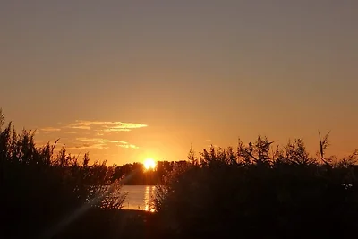 Sonnenschein