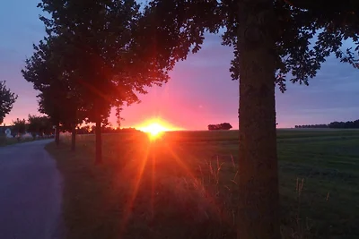 Sonnenschein