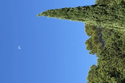 Le rêve de Mieke